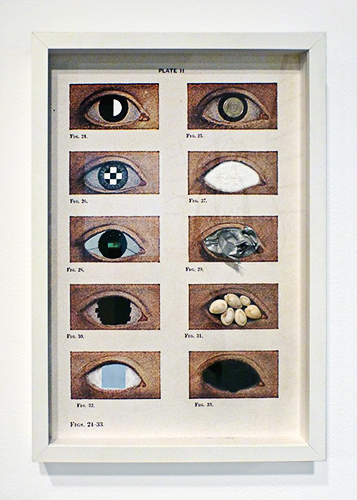 FIGS. 24 – 33, Diseases of the Eye series, 2014, Jaret Vadera, mixed media collage, 13 x 19"
